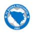 博斯纳2002